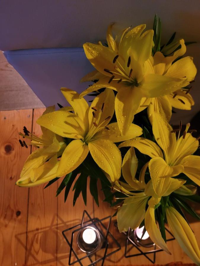 Apartament Lilla Еленя-Гура Экстерьер фото