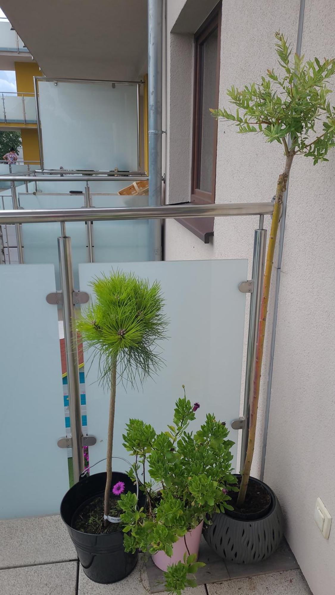 Apartament Lilla Еленя-Гура Экстерьер фото
